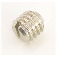 Bolt Retaining Screw [Spyder Electra with Eye and Rocking Trigger] 1717A