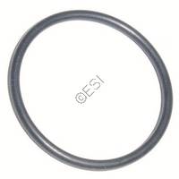 #06 Outer Body Seal Oring [Ion Body] ORN02270VI