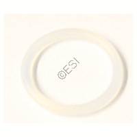 #30 Fire Chamber Seal Oring [ION XE] ORN01570BN